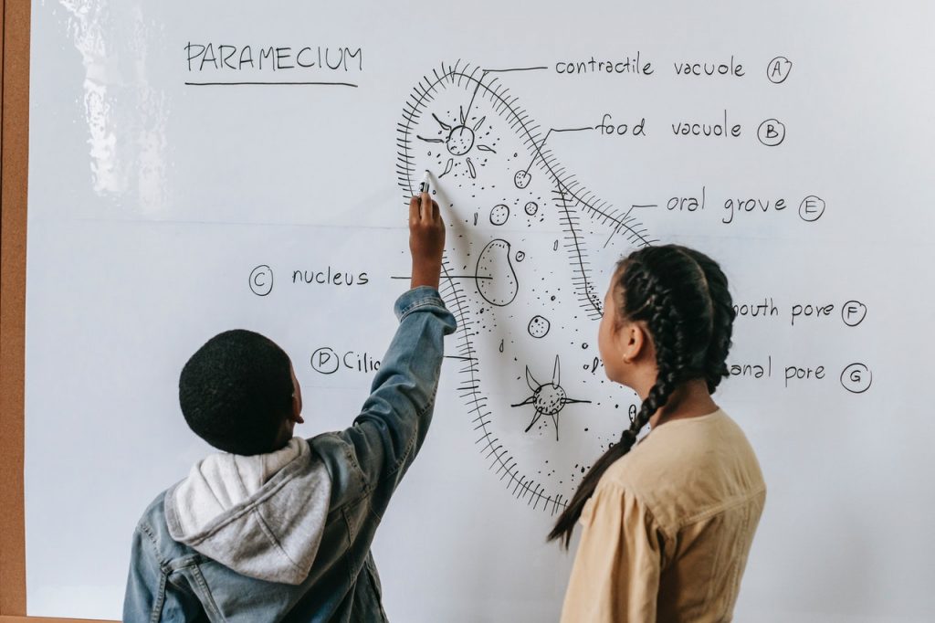 Kids writing on a whiteboard