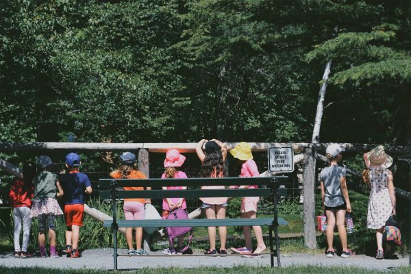 Young students on a class trip near a forest.